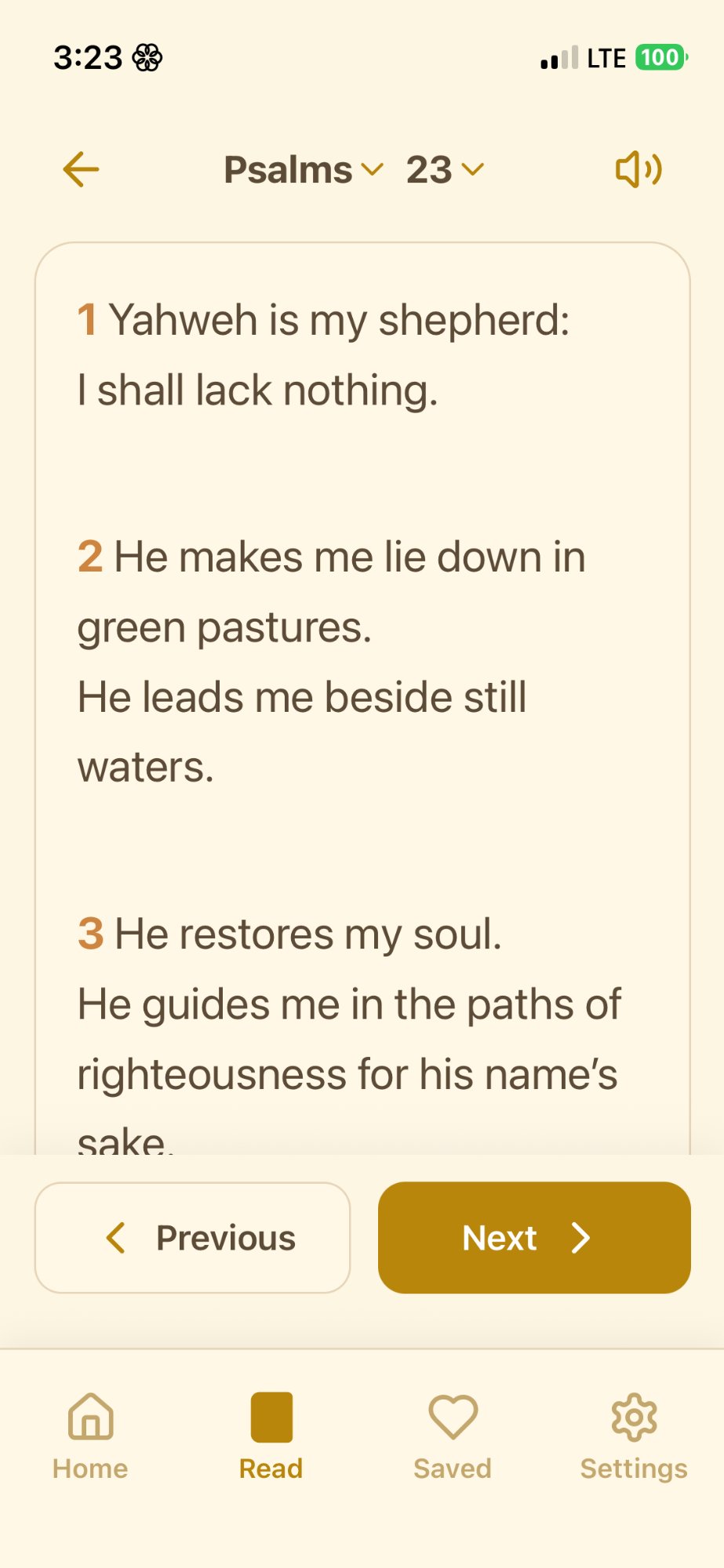 Bible reader with large text